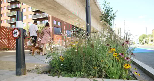 ©Meristem Design_ Royal Dock Rain Gardens
