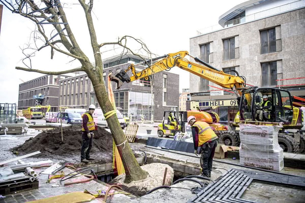 treetank-project-in-hasselt---from-installation-to-final-result_96dpi_1280x853px_e_nr-52377-Sep-21-2022-01-45-52-52-PM-1