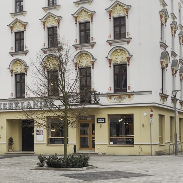 TreeTank Rybnik